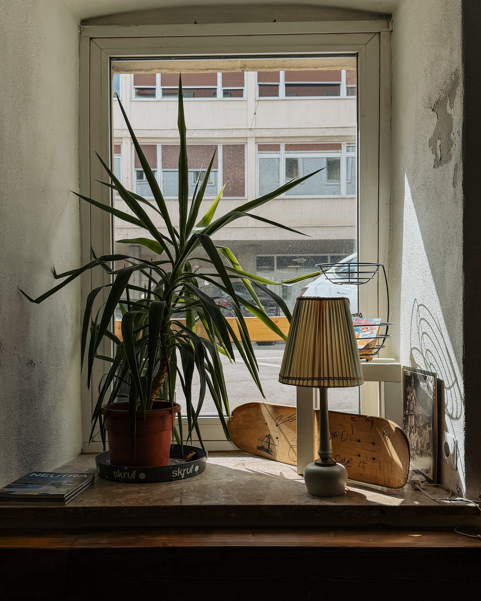 Fensterbank mit Pflanze und Lampe