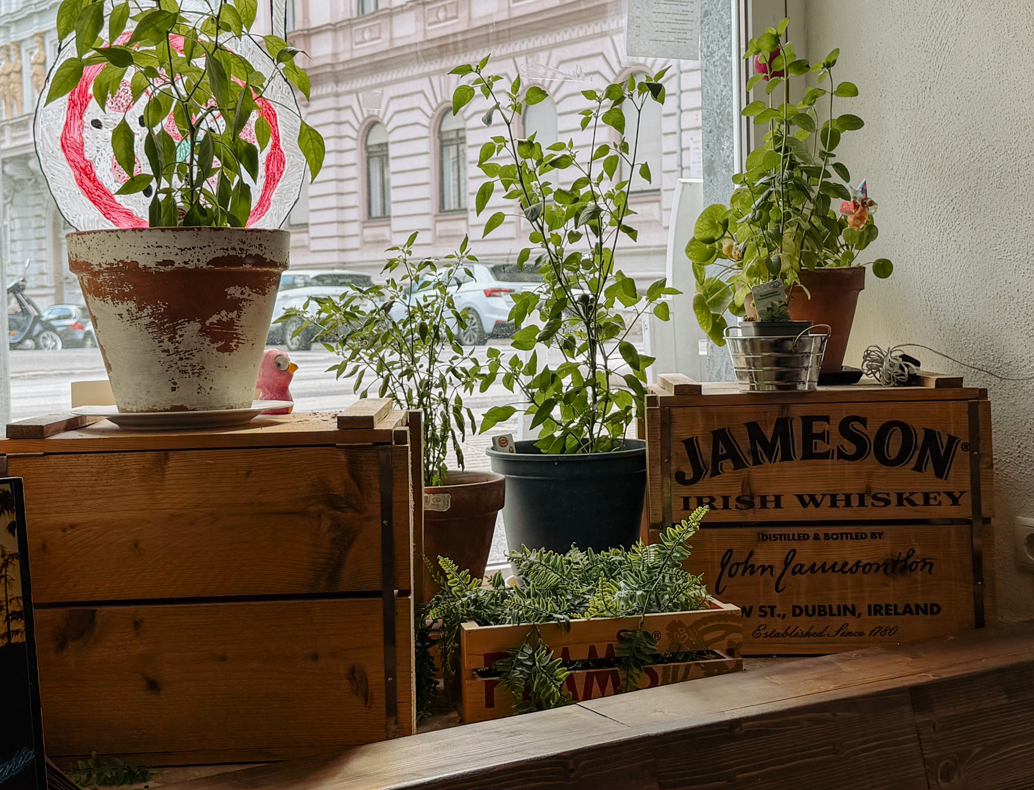 Jameson-Kiste mit Pflanzen – Wohnzimmer-Feeling